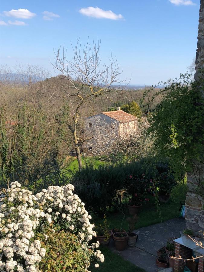 Dolce Vita In Tuscany B&B Capannori Extérieur photo