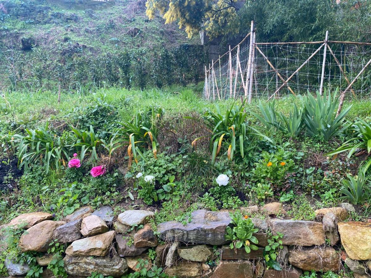 Dolce Vita In Tuscany B&B Capannori Extérieur photo