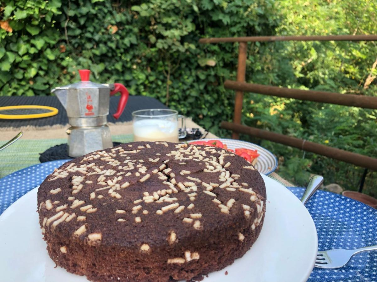 Dolce Vita In Tuscany B&B Capannori Extérieur photo
